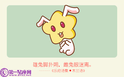 揭秘精準(zhǔn)生肖，探尋神奇的數(shù)字組合777778與888888背后的生肖秘密，揭秘生肖秘密，數(shù)字組合777778與888888背后的生肖傳奇