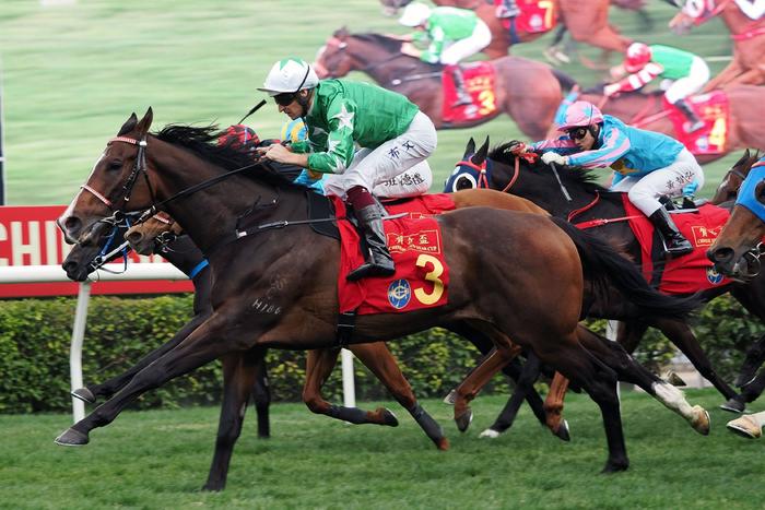 探索香港馬官網，一站式體驗7777788888的賽馬世界，探索香港馬官網，一站式賽馬世界體驗