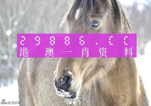 澳門一肖一碼，揭秘一個關于精準預測背后的故事，澳門一肖一碼揭秘，精準預測背后的神秘故事