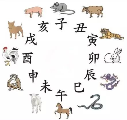 澳門天天彩期期精準十二生肖預測——揭秘彩票秘密，澳門天天彩期期精準十二生肖預測，揭秘彩票秘密之獨家解析