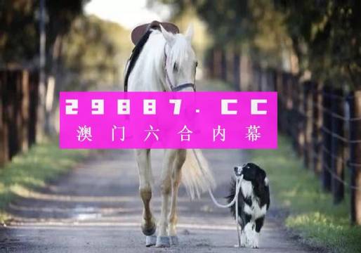 澳門彩的奧秘世界與SEO優(yōu)化策略探討 —— www.04812com的獨(dú)家解析，澳門彩奧秘與SEO優(yōu)化策略獨(dú)家解析，www.04812com深度探討