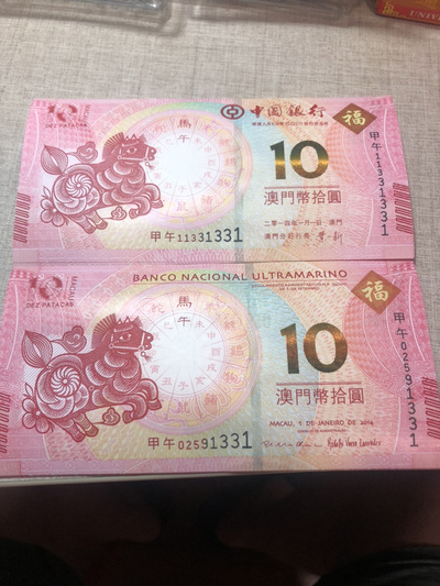 揭秘明天澳門必中生肖的神秘面紗，揭秘明天澳門必中生肖的神秘秘密