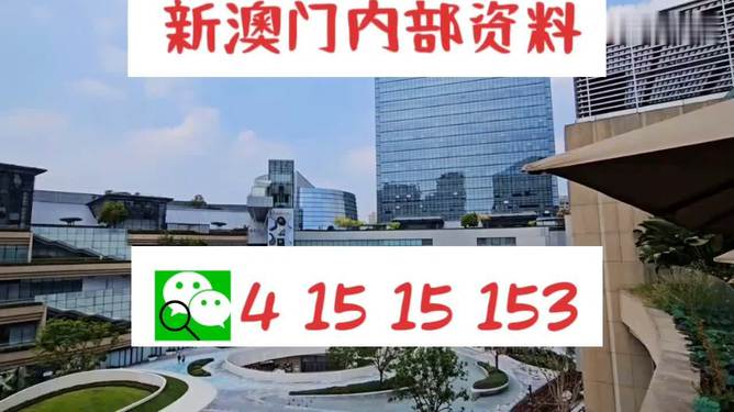 芳草地2025澳門資料，探索未來的奧秘，探索澳門未來奧秘，芳草地資料揭示的藍(lán)圖 2025年展望