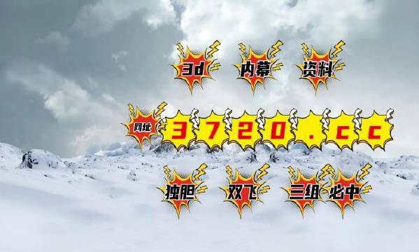 揭秘4887王中王精準(zhǔn)資料，全方位解讀，讓你贏在起跑線，揭秘王中王精準(zhǔn)資料，全方位解讀助你贏在起跑線