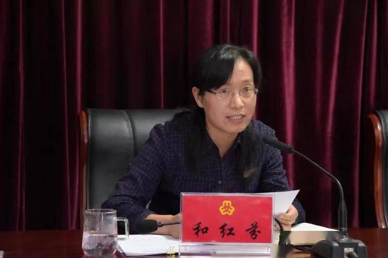 二四六香港期期中的資料解析與SEO優(yōu)化策略，香港期期二四六資料解析與SEO優(yōu)化策略探討