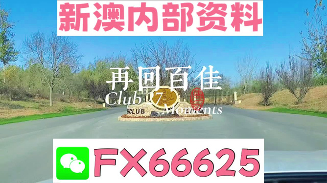 澳彩全年免費資料大全——探索澳彩的世界與免費資料資源，澳彩全年免費資料大全，澳彩世界與免費資源探索