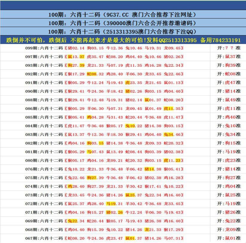 澳門無錯九肖今日搜狗，探索與解析，澳門無錯九肖今日搜狗，深度解析與探索