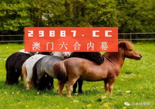 一馬中特內(nèi)部精準(zhǔn)資料免費(fèi)大公開，揭秘行業(yè)秘密，助力個(gè)人成長，揭秘行業(yè)秘密，一馬中特內(nèi)部精準(zhǔn)資料大公開，助力個(gè)人成長免費(fèi)獲取