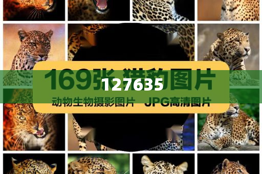 精準新傳真，揭秘數(shù)字組合7777788888的神秘面紗，揭秘數(shù)字組合7777788888的神秘面紗，精準新傳真解讀