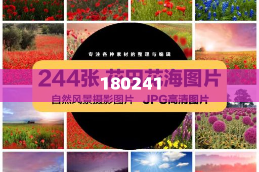 精準管家婆狗