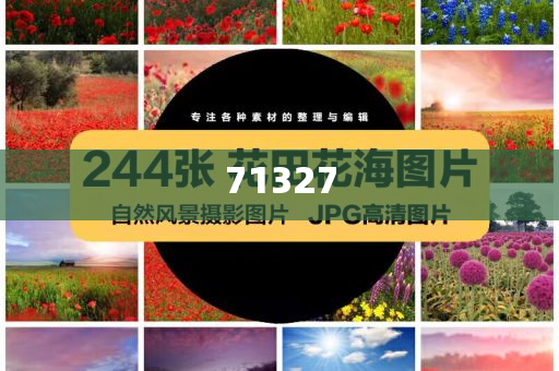 探索777788888管家婆網(wǎng)，一站式解決方案的綜合服務平臺，一站式解決方案的綜合服務平臺，探索777788888管家婆網(wǎng)