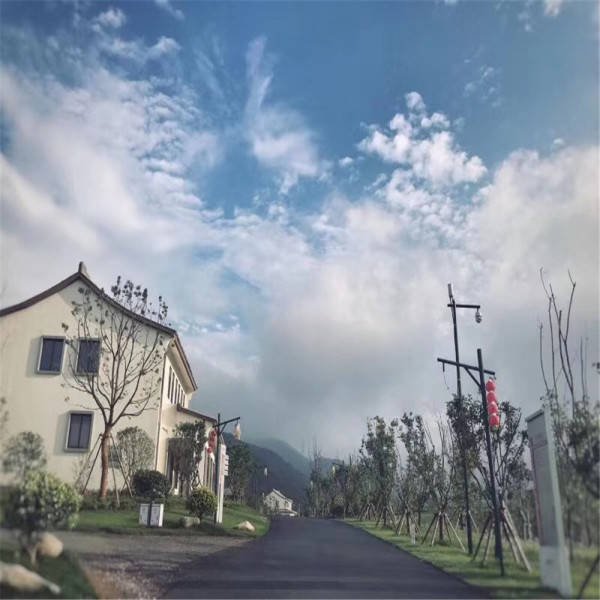 新奧今晚開一肖一特講解詞語，揭秘生肖與特肖的獨特魅力，揭秘生肖與特肖的獨特魅力，新奧今晚一開一特講解詞語