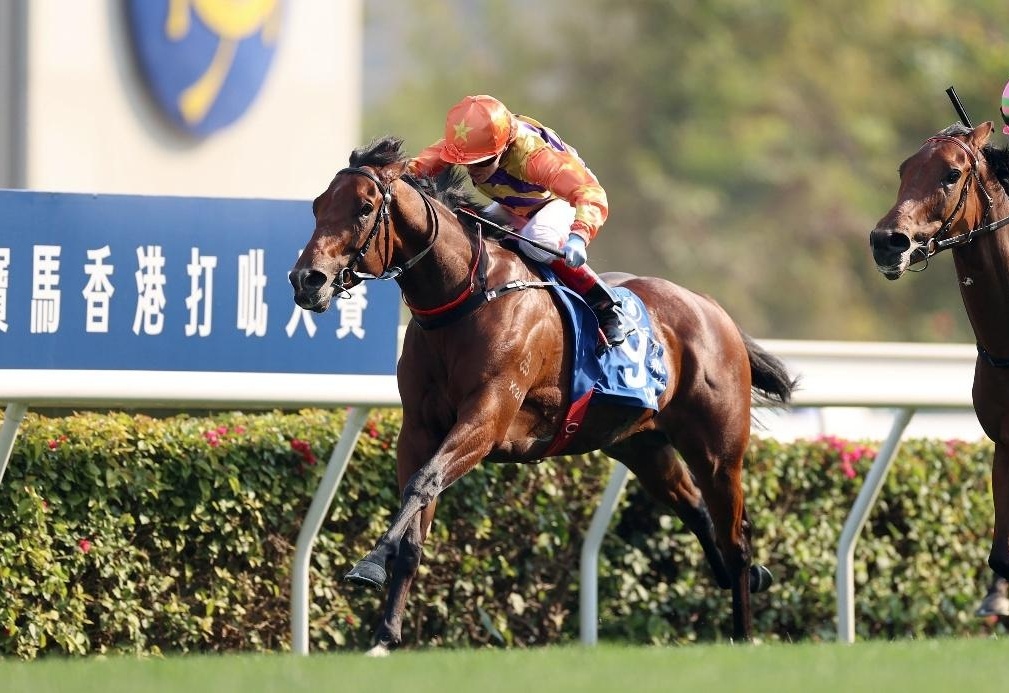 香港賽馬會，探索賽馬運動的魅力與激情的交匯點——7777788888的獨特魅力，香港賽馬會，賽馬運動的激情交匯點與獨特魅力探索