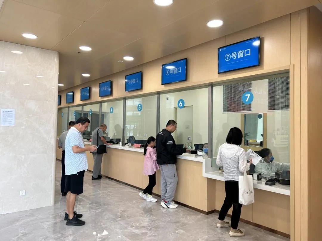 新門內部資料免費獲取——探索與揭秘，新門內部資料大揭秘，免費獲取探索之旅