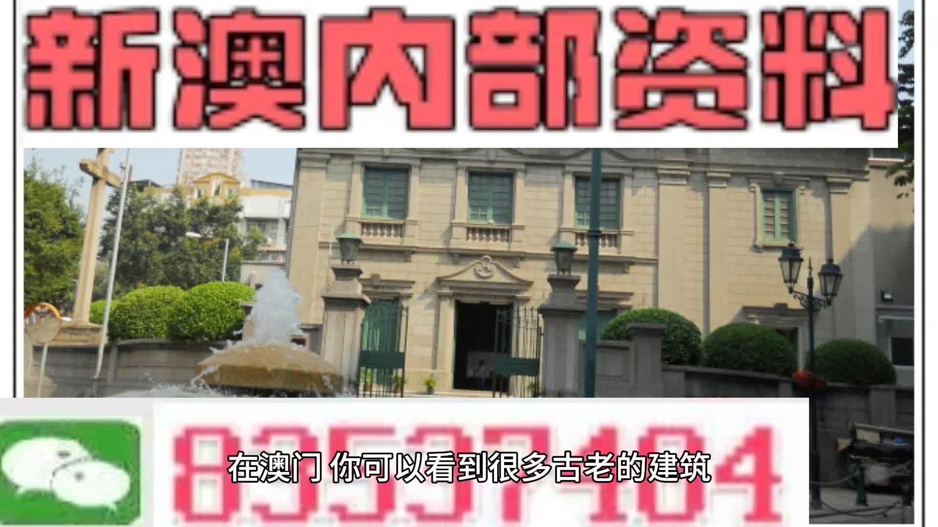 新門內部資料大全更新，掌握最新資源，引領行業(yè)前沿，新門內部資料更新引領行業(yè)前沿掌握最新資源大全