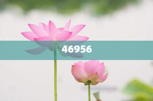 新奧集團(tuán)，邁向2025，天天開(kāi)好彩的愿景與挑戰(zhàn)，新奧集團(tuán)邁向2025，實(shí)現(xiàn)天天開(kāi)好彩的愿景與挑戰(zhàn)