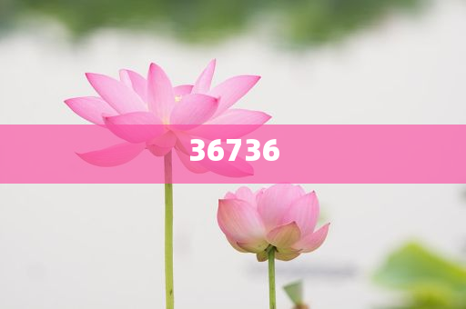 精準(zhǔn)新傳秘籍