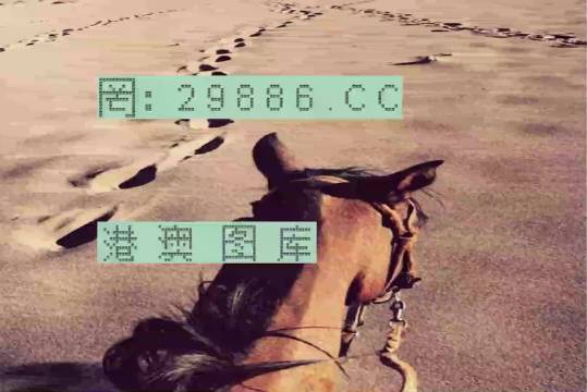 香港特馬資料王中王，揭秘背后的秘密，揭秘香港特馬資料王中王的背后秘密