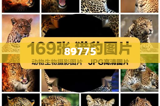 關(guān)于新奧歷史開(kāi)獎(jiǎng)記錄的最新信息，今天公布了嗎？，新奧歷史開(kāi)獎(jiǎng)記錄最新信息公布了嗎？