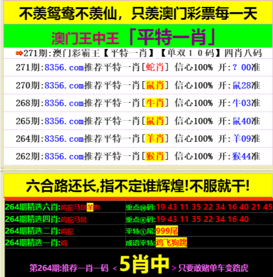 澳門王中王心水王中王，探索與解析，澳門王中王心水奧秘，深度探索與解析