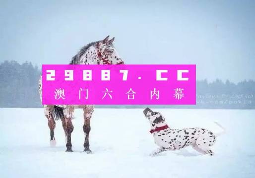 澳門一肖一碼狀元紅，揭秘彩票背后的秘密與策略，澳門彩票揭秘，狀元紅背后的秘密與策略解析