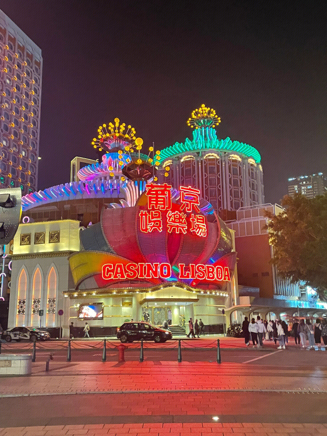 澳門今晚必開一肖一特芳草地，探索生肖與運勢的神秘面紗，澳門生肖運勢揭秘，探索今晚必開一肖一特芳草地神秘面紗的運勢之旅