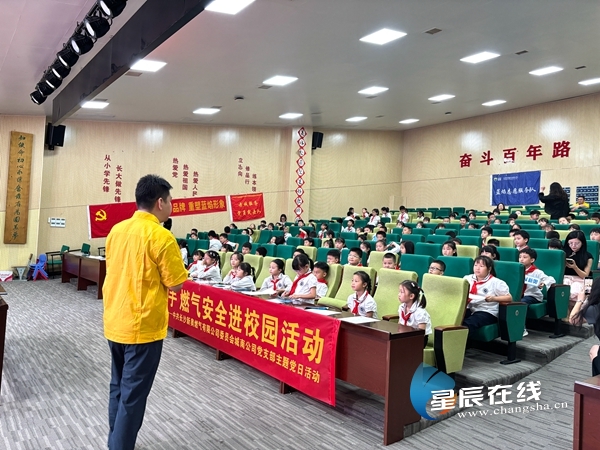 新奧49正版資料，探索與解析，新奧49正版資料深度探索與解析