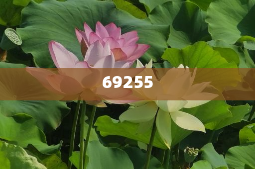 新門(mén)內(nèi)部資料免費(fèi)大全