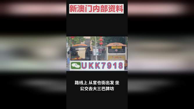 揭秘澳門今晚開獎(jiǎng)號(hào)碼，預(yù)測(cè)與策略走向，澳門今晚開獎(jiǎng)號(hào)碼揭秘與預(yù)測(cè)策略走向探討