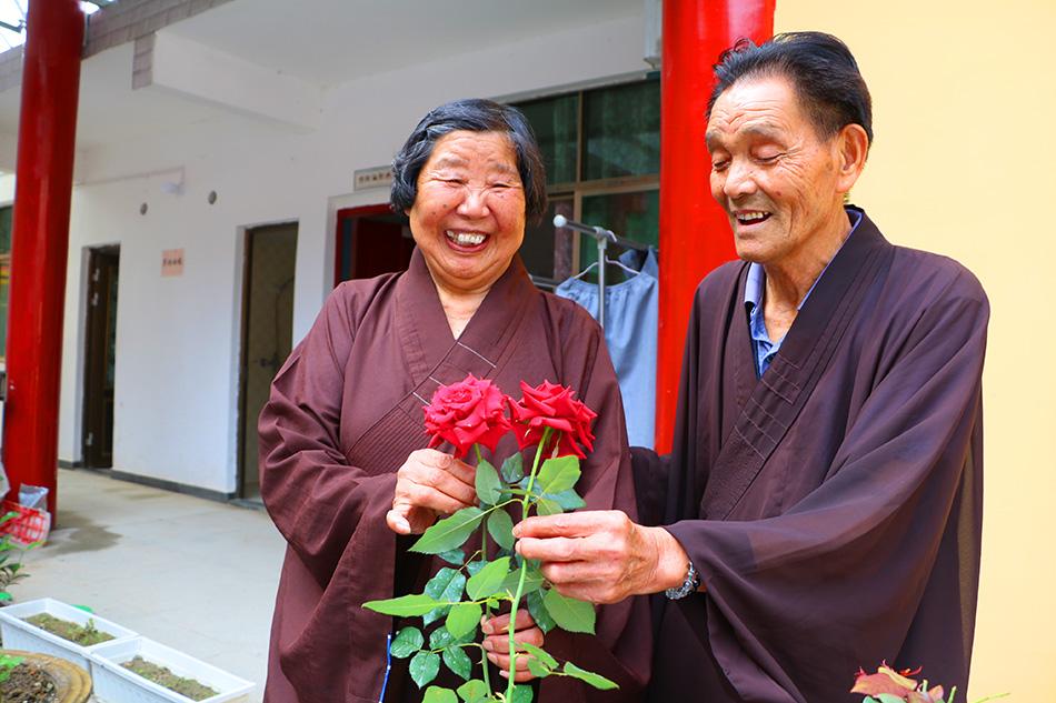 揭秘最準一碼一肖，揭秘背后的秘密與真相，鳳凰網(wǎng)獨家報道，獨家揭秘，最準一碼一肖背后的秘密真相（鳳凰網(wǎng)報道）