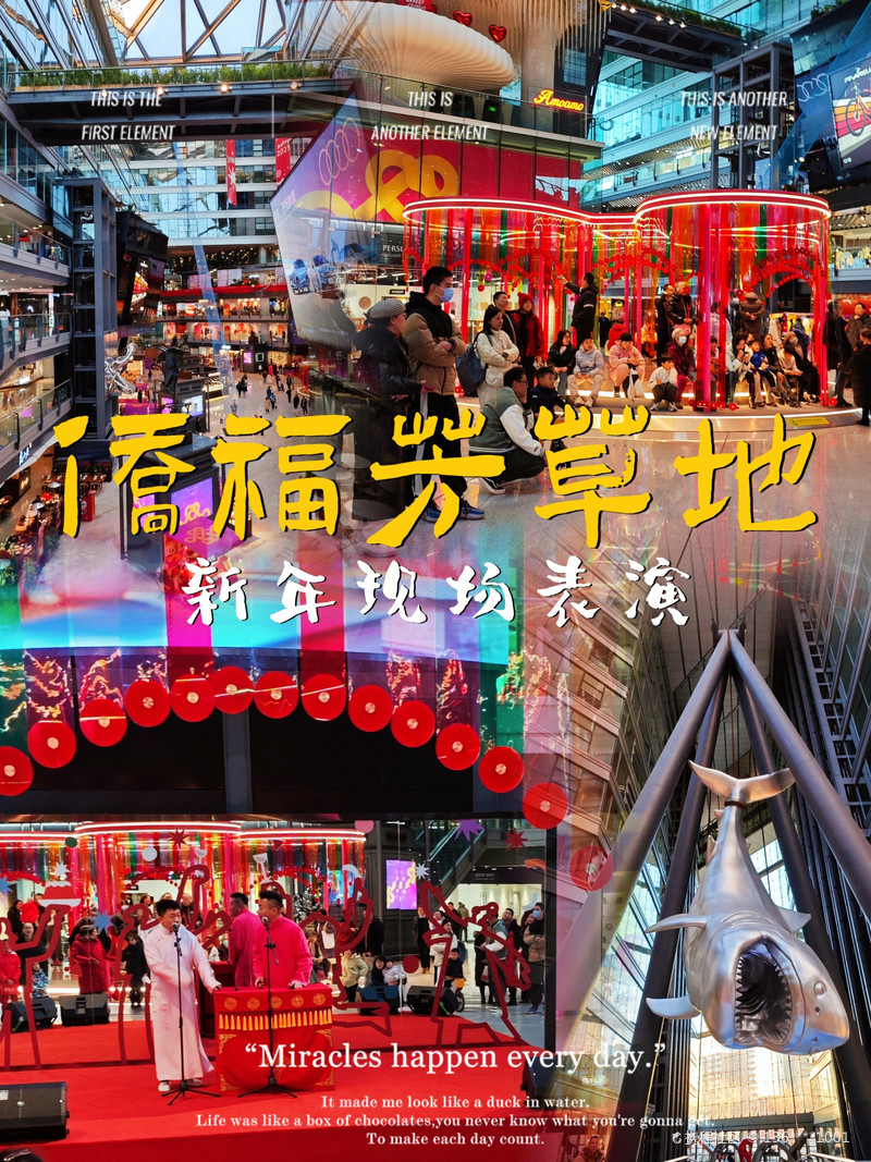 最新揭秘，2024新澳芳草地全方位資料詳解，揭秘2024新澳芳草地全方位資料，最新詳解