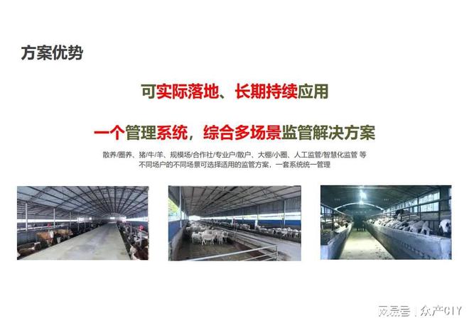 探索新澳芳草地，正版資料的免押之旅（2025年最新資訊），探索新澳芳草地，正版資料免押之旅（最新資訊）