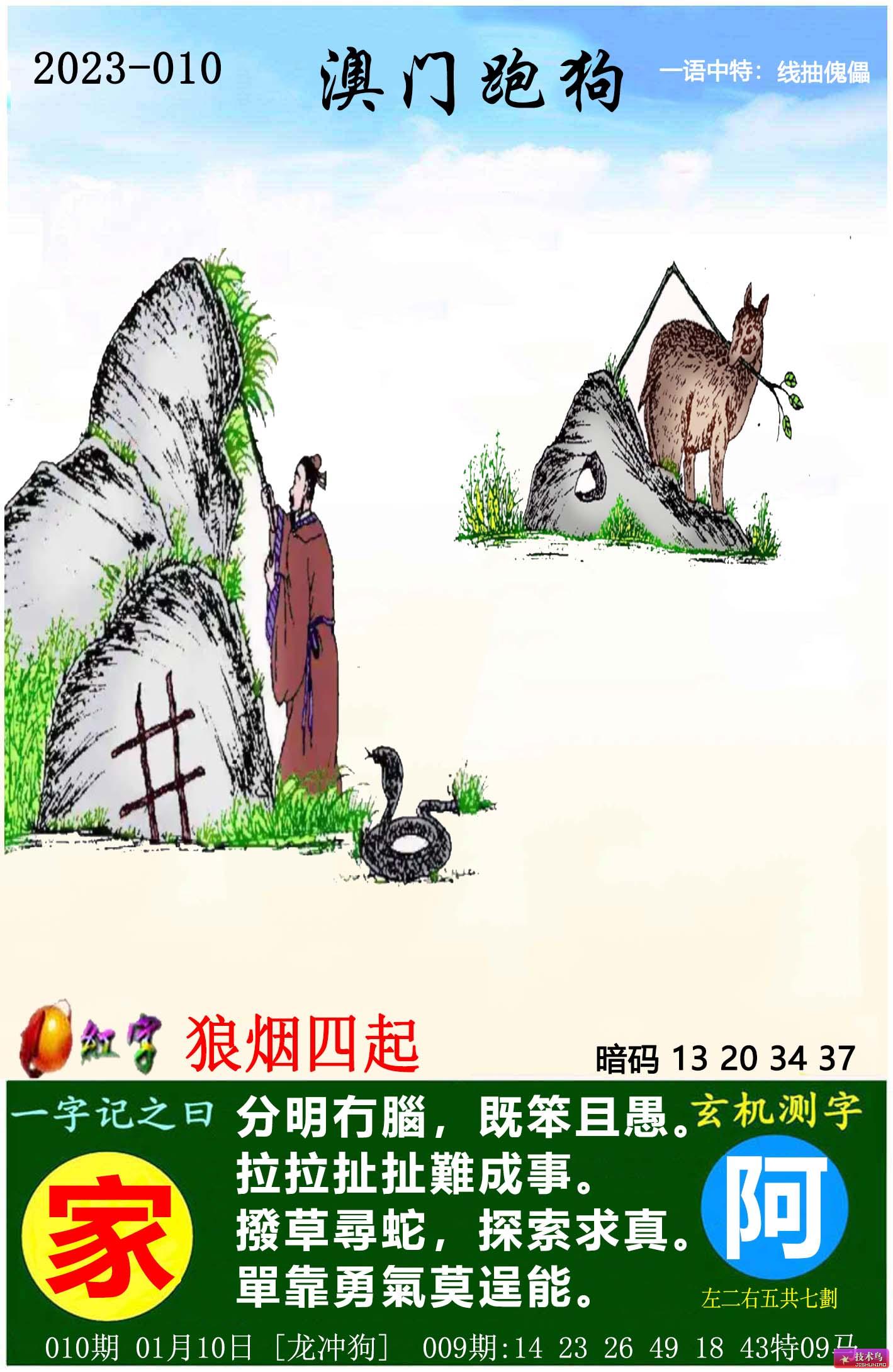 最新更新內(nèi)容，探索7777788888跑狗圖的奧秘，揭秘跑狗圖奧秘，最新更新探索7777788888的神秘面紗