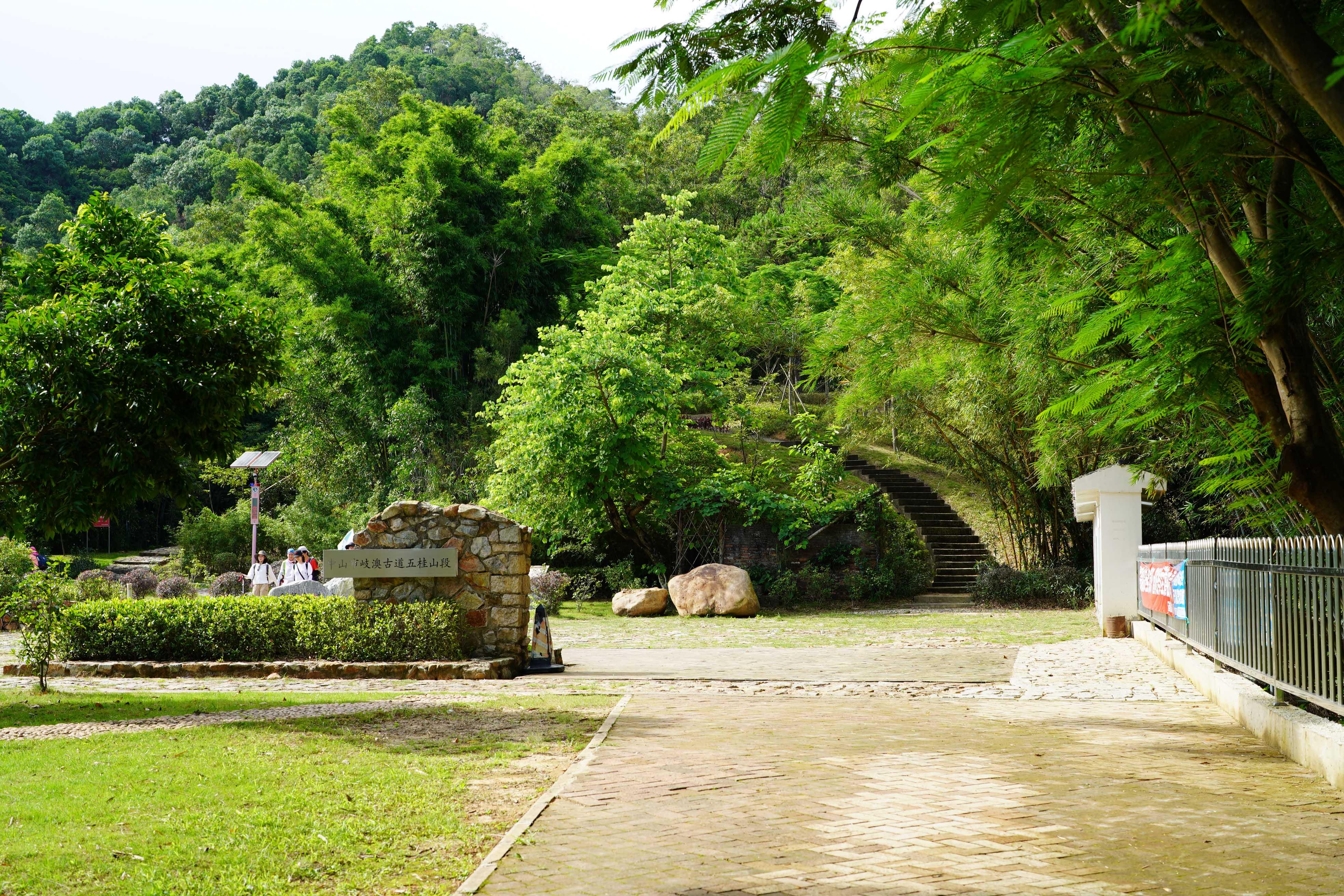 新澳門(mén)走勢(shì)圖最新分析與解讀，澳門(mén)走勢(shì)圖最新分析與解讀報(bào)告