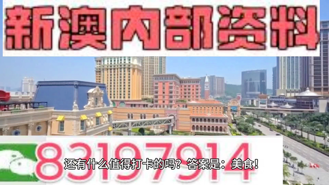 新澳門精準四肖期期中特公開下載，探索與解析，澳門精準四肖期期中特解析與探索，公開下載揭秘
