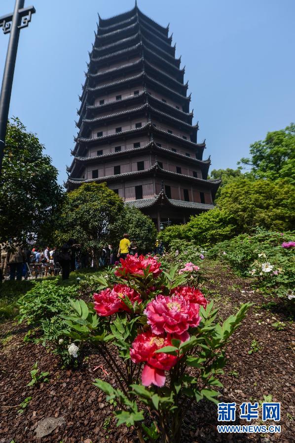 六和彩開碼資料網(wǎng)——探索彩票世界的門戶，六和彩開碼資料網(wǎng)，彩票世界探索之門