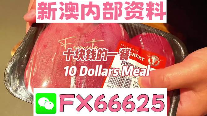 SEO優(yōu)化策略探討