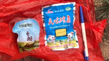 澳門最精準龍門，探索真實的精準之道，澳門最精準龍門，揭秘真實精準之道