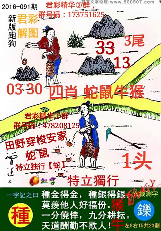 揭秘7777788888精準新跑狗圖，全方位解讀其背后的秘密，揭秘新跑狗圖7777788888，全方位解讀背后的真相與秘密