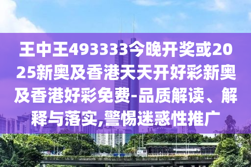 王中王493333中特大全，深度解析與SEO優(yōu)化策略，王中王493333中特大全，深度解析與SEO優(yōu)化策略指南