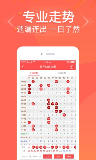 王中王六肖中特免費(fèi)公開，深度解析與SEO優(yōu)化策略，王中王六肖中特解析與SEO優(yōu)化策略免費(fèi)公開