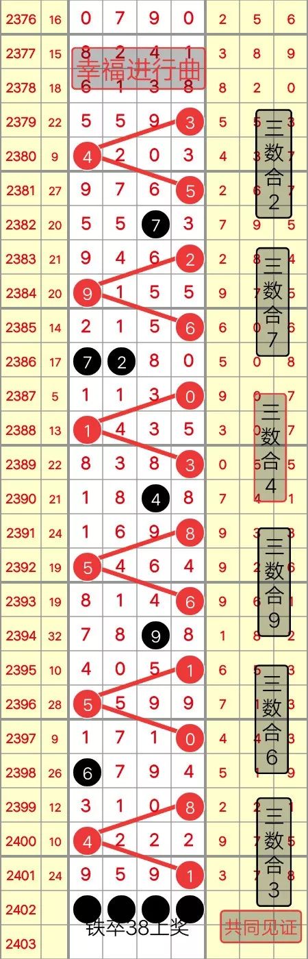 狀元紅，揭秘4987最快鐵算資料背后的秘密，狀元紅背后的秘密，揭秘最快鐵算資料4987的神秘面紗