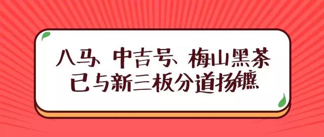 關(guān)于4887掛掛牌資料的全面解析，4887掛掛牌資料全面解析攻略