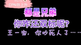 一肖二肖是什么意思——深度解析中國民俗中的生肖文化，深度解析中國民俗中的生肖文化，一肖二肖的含義與故事