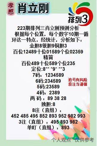 王中王三肖一碼資料，深度解析與SEO優(yōu)化策略，王中王三肖一碼資料深度解析與SEO優(yōu)化策略全攻略