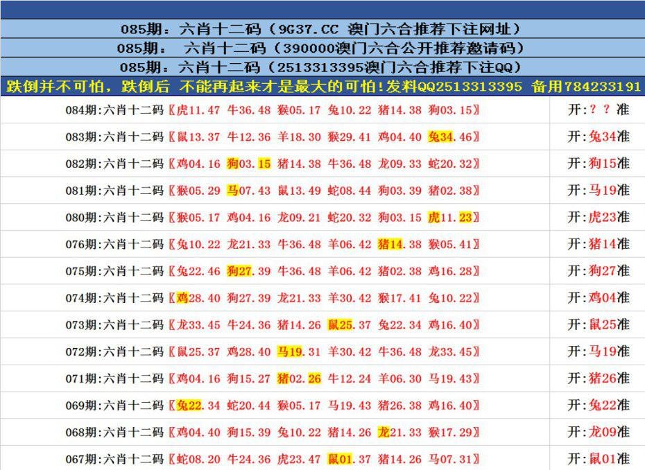 澳門六合正版資料，深度解析與探索，澳門六合正版資料深度解析與探索之旅