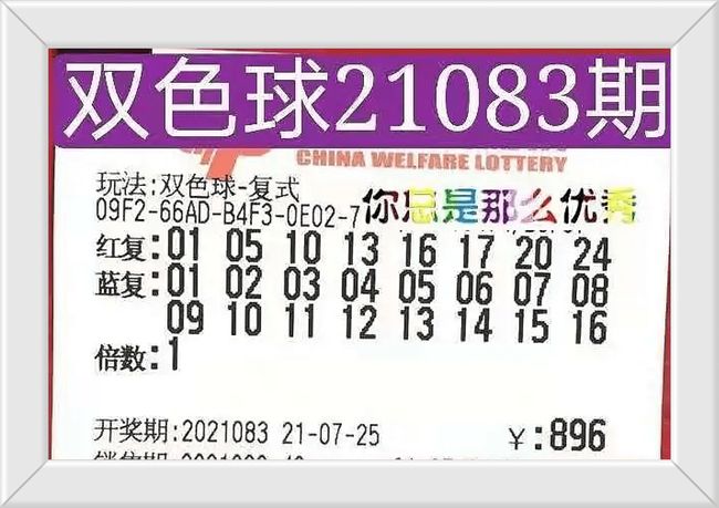 香港今晚開獎(jiǎng)結(jié)果號碼，探索彩票背后的秘密，香港彩票開獎(jiǎng)結(jié)果揭秘，探索彩票背后的神秘面紗