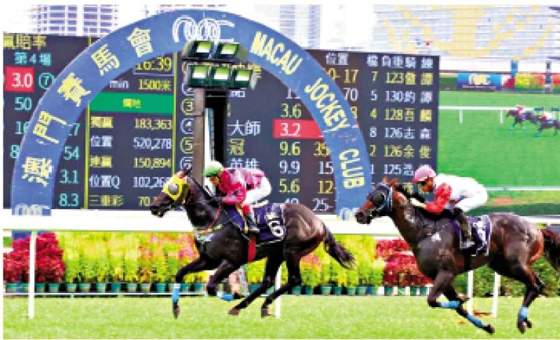 澳門賽馬會(huì)，歷史、文化與激情的交融，澳門賽馬會(huì)，歷史、文化與激情的盛會(huì)
