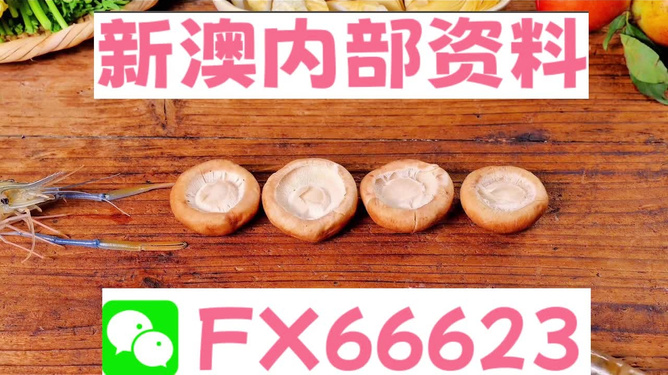 新澳全年免費(fèi)資料大全——探索與學(xué)習(xí)資源的寶庫，新澳全年免費(fèi)資料大全，探索與學(xué)習(xí)資源的終極寶庫