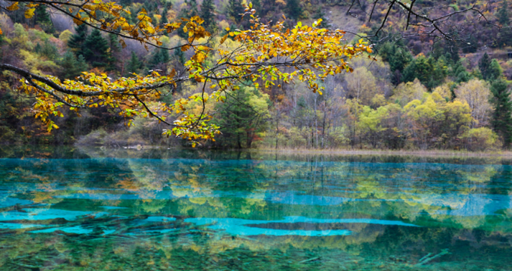 九寨溝天氣預(yù)報未來30天